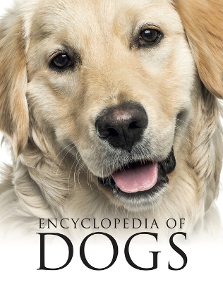 Encyclopedia of Dogs - Jackson, Tom