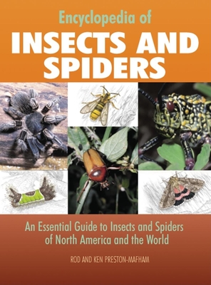 Encyclopedia of Insects and Spiders: An Essential Guide to Insects and Spiders of North America and the World - Preston-Mafham, Rod, and Preston-Mafham, Ken