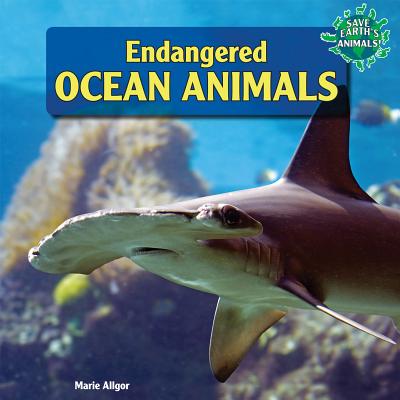 Endangered Ocean Animals - Allgor, Marie
