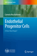 Endothelial Progenitor Cells: A New Real Hope?