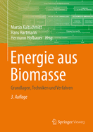 Energie Aus Biomasse: Grundlagen, Techniken Und Verfahren