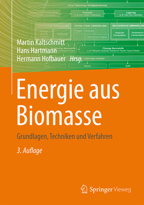 Energie Aus Biomasse: Grundlagen, Techniken Und Verfahren - Kaltschmitt, Martin (Editor), and Hartmann, Hans (Editor), and Hofbauer, Hermann (Editor)