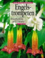 Engelstrompeten. Brugmansia Und Datura