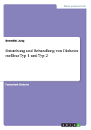 Entstehung Und Behandlung Von Diabetes Mellitus Typ 1 Und Typ 2