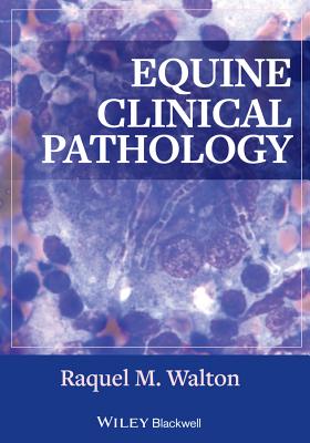 Equine Clinical Pathology - Walton, Raquel M (Editor)