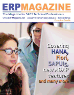 Erp Magazine January - February 2019 ( Issue 2) + Issue 1 Bonus: The Magazine for SAP ABAP Technical Professionals