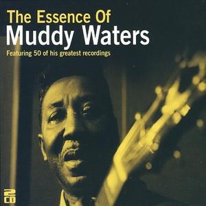 Essence of Muddy Waters - Muddy Waters