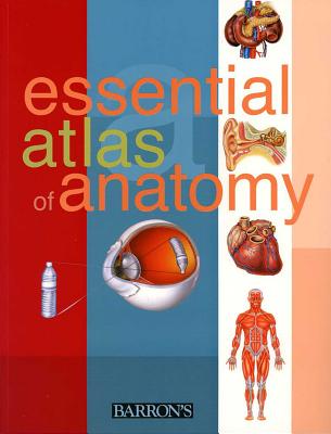 Essential Atlas of Anatomy - Parramon Studios