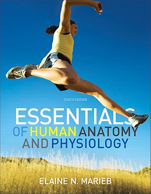 Essentials of Human Anatomy and Physiology with Essentials of Interactive Physiology CD-ROM: United States Edition - Marieb, Elaine N.