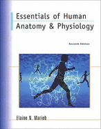 Essentials of Human Anatomy & Physiology: International Edition