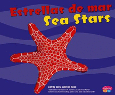 Estrellas de Mar/Sea Stars