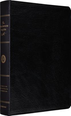 ESV MacArthur Study Bible - MacArthur, John (Commentaries by)