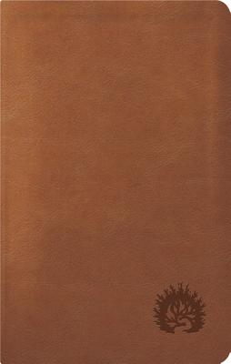 ESV Reformation Study Bible, Condensed Edition - Light Brown, Leather-Like - Sproul, R C (Editor)