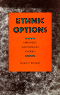 Ethnic Options: Choosing Identities in America
