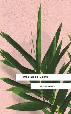 Evening Primrose: a heart-wrenching novel for our times - Matlwa, Kopano