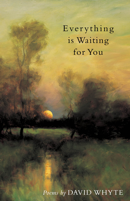 Everything Is Waiting for You - Whyte, David