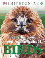 Everything You Need to Know about Birds