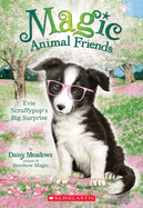 Evie Scruffypup's Big Surprise (Magic Animal Friends #10): Volume 1