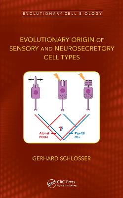 Evolutionary Origin of Sensory and Neurosecretory Cell Types: Vertebrate Cranial Placodes, volume 2 - Schlosser, Gerhard