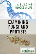 Examining Fungi and Protists