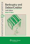 Examples & Explanations for Bankruptcy and Debtor Creditor