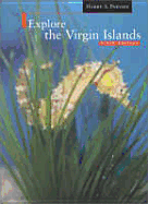Explore the Virgin Islands