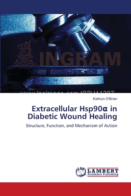 Extracellular Hsp90  in Diabetic Wound Healing - O'Brien, Kathryn