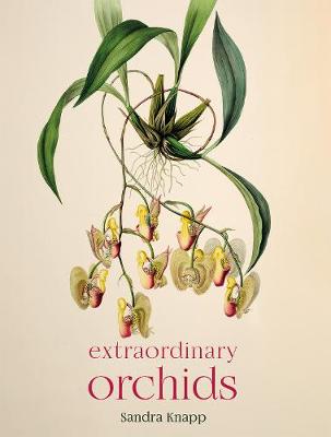 Extraordinary Orchids - Knapp, Sandra