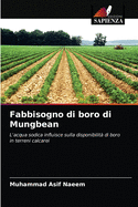 Fabbisogno di boro di Mungbean