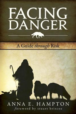 Facing Danger: A Guide Through Risk - Hampton, and Briscoe, Stuart (Foreword by)