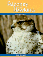 Falconry and Hawking