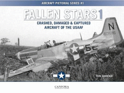 Fallen Stars 1: Crashed, Damaged & Captured Aircraft of the USAAF