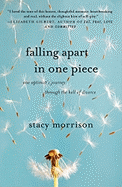 Falling Apart in One Piece: One Optimist's Journey Through the Hell of Divorce