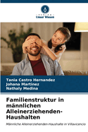 Familienstruktur in m?nnlichen Alleinerziehenden-Haushalten