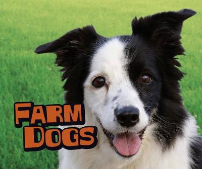 Farm Dogs - Clay, Kathryn