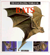 Fascinating World of Bats - Julivert, Maria Angels