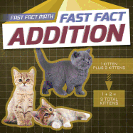 Fast Fact Addition