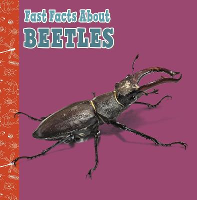Fast Facts About Beetles - Garstecki-Derkovitz, Julia