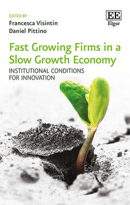 Fast Growing Firms in a Slow Growth Economy: Institutional Conditions for Innovation - Visintin, Francesca (Editor), and Pittino, Daniel (Editor)