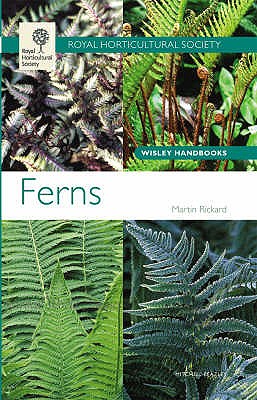 Ferns. Martin Rickard - Rickard, Martin