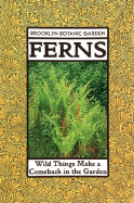 Ferns: Wild Things Make a Comeback in the Garden