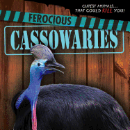 Ferocious Cassowaries