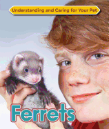 Ferrets