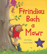 Ffrindiau Bach a Mawr