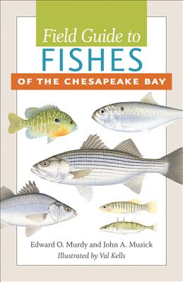 Field Guide to Fishes of the Chesapeake Bay - Murdy, Edward O, and Musick, John A