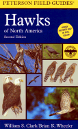 Field Guide to Hawks of North America