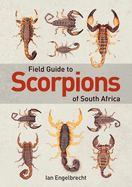 Field Guide to Scorpions of South Africa