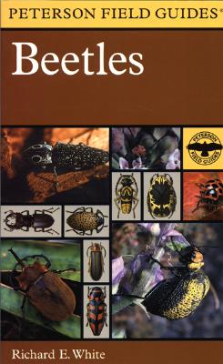 Field Guide to the Beetles - Peterson