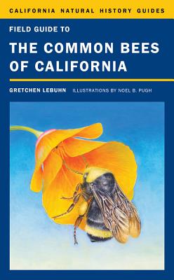 Field Guide to the Common Bees of California: Including Bees of the Western United States Volume 107 - Lebuhn, Gretchen