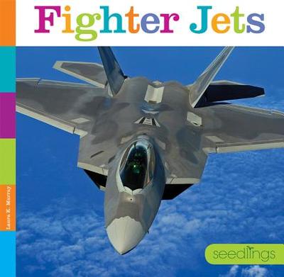Fighter Jets - Murray, Laura K